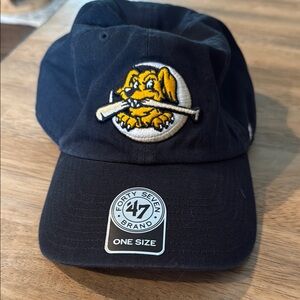 Charleston River Dogs Youth Baseball Cap 47’ Brand